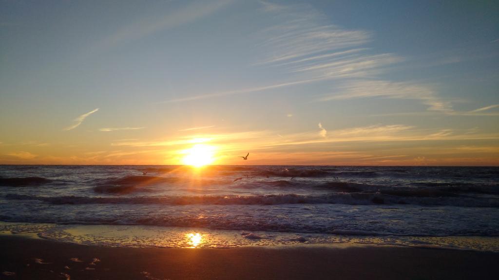 The Cottages At Madeira Beach St. Pete Beach Bagian luar foto